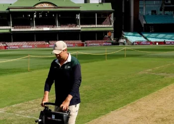 pitch at SCG