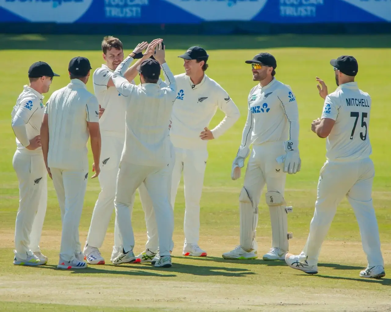 Zimbabwe National Cricket Team vs New Zealand National Cricket Team Match
