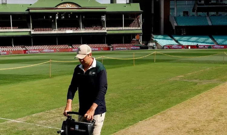 pitch at SCG